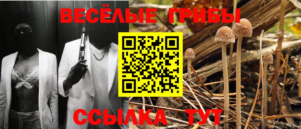 Галлюциногенные грибы Cubensis  Псилоцибиновые грибы ЛСД  Вход с VPN  Кинель 