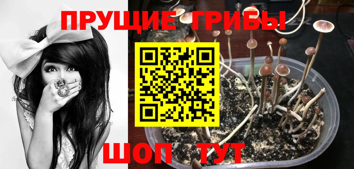 Галлюциногенные грибы мицелий Кинель